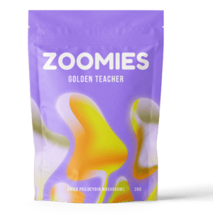 Golden Teacher | Magic Mushrooms Edmonton Canada