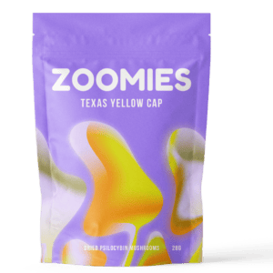 Texas Yellow Cap | Magic Mushrooms Edmonton Canada