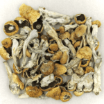 Orissa | Magic Mushrooms Edmonton Canada
