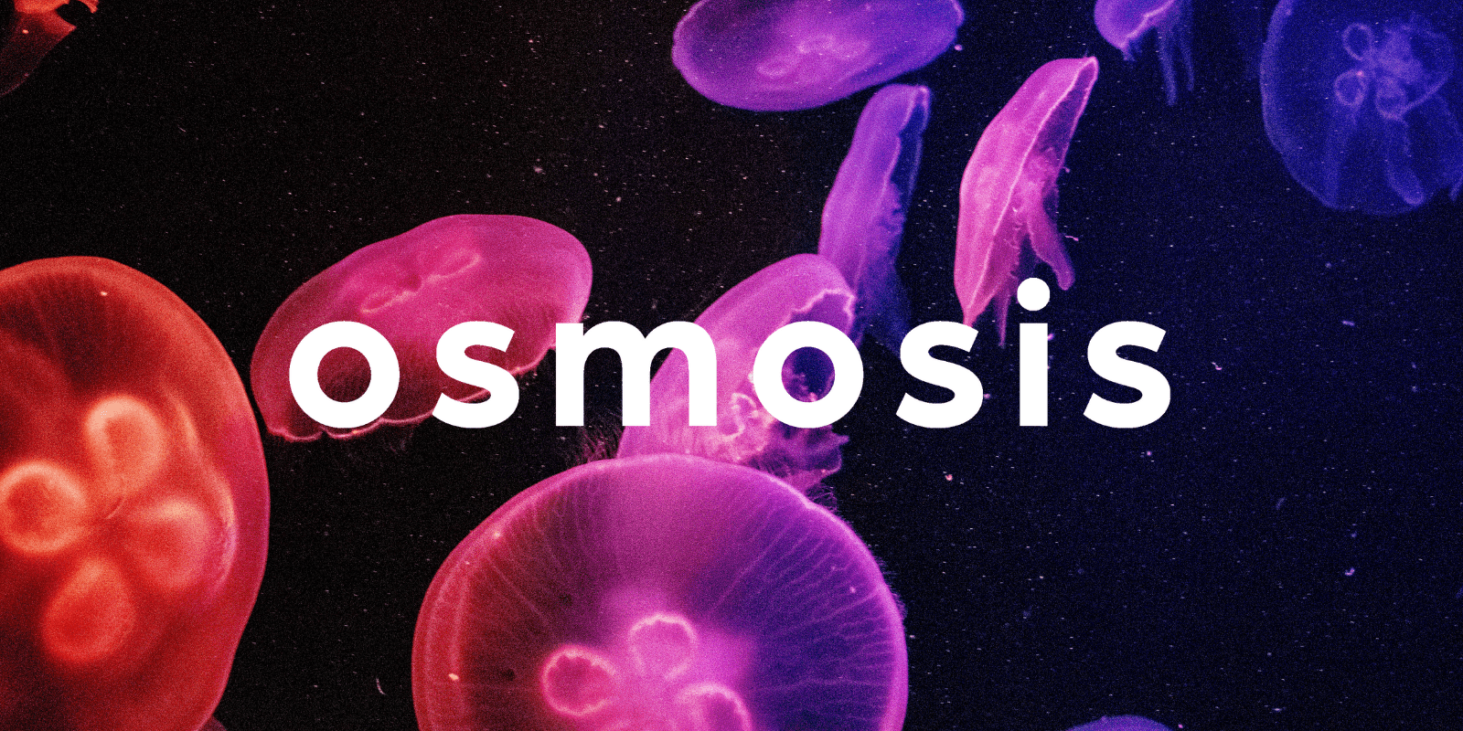 Zoomies osmosis banner | Magic Mushrooms Edmonton Canada