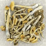 Trinity | Magic Mushrooms Edmonton Canada
