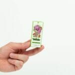 Wonder – Psilocybin Chocolate Bar – Dark Chocolate | Magic Mushrooms Edmonton Canada