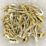 Hautla | Magic Mushrooms Edmonton Canada