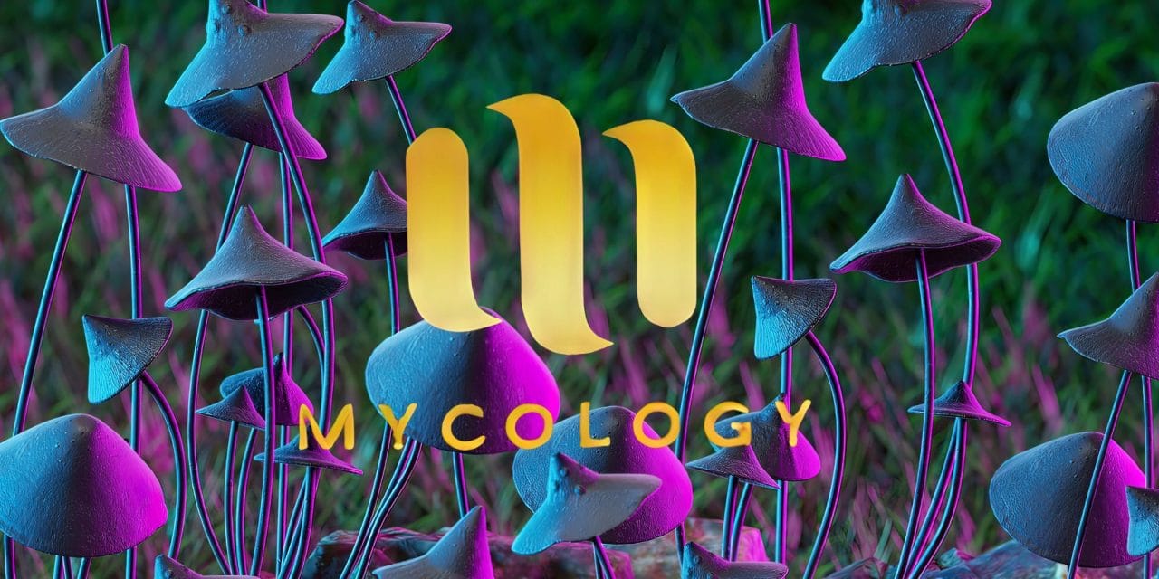 Zoomies Summer 2023 Banner - Mycology | Magic Mushrooms Edmonton Canada