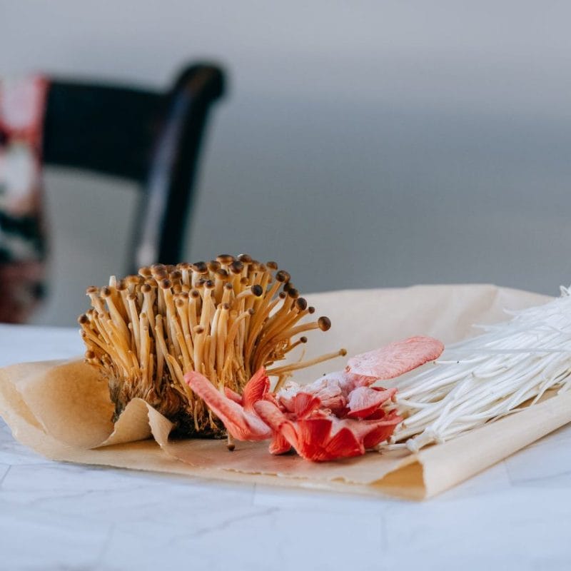 Buy Shrooms Online Canada (1) | Magic Mushrooms Edmonton Canada