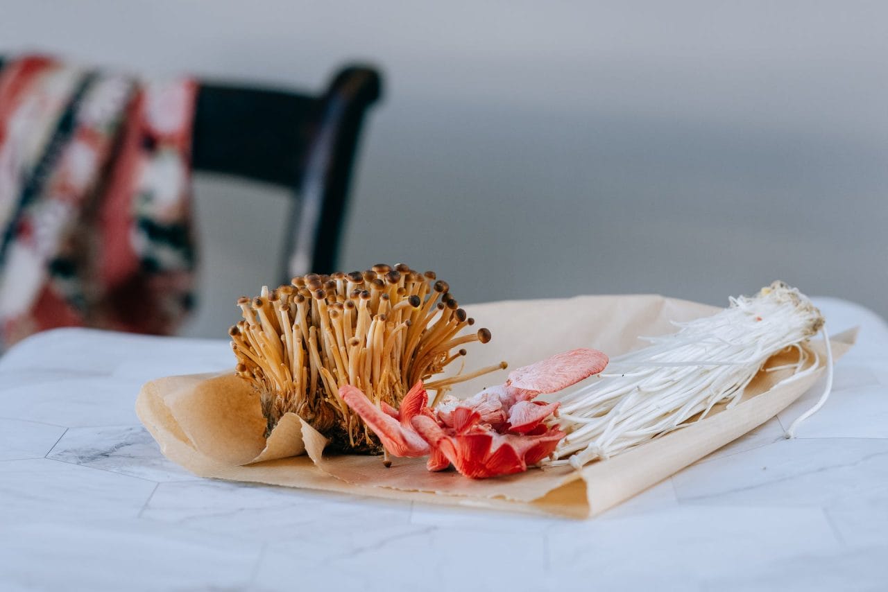 Purchase Mushrooms Online in Canada for Festive Mushroom Recipes