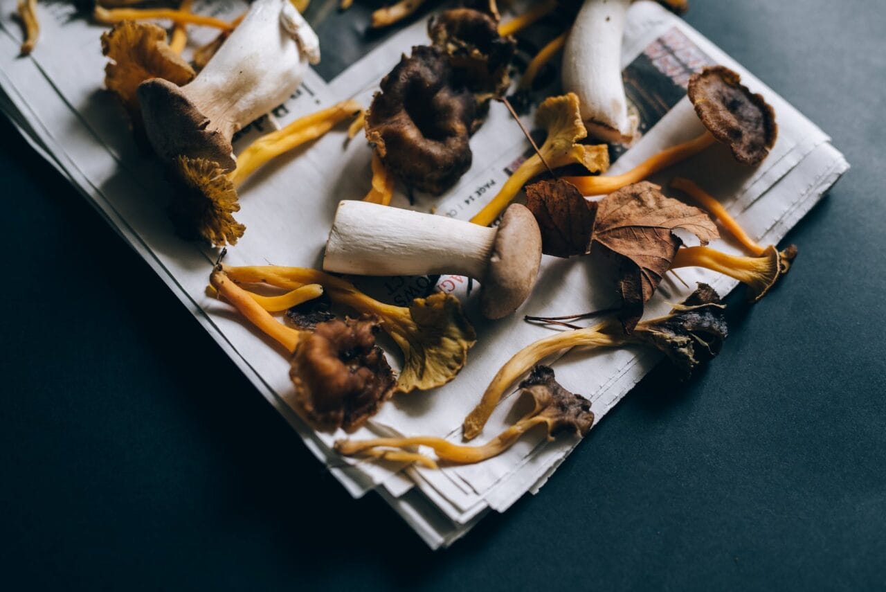 Are Mushrooms and Chocolate a Good Pairing?
