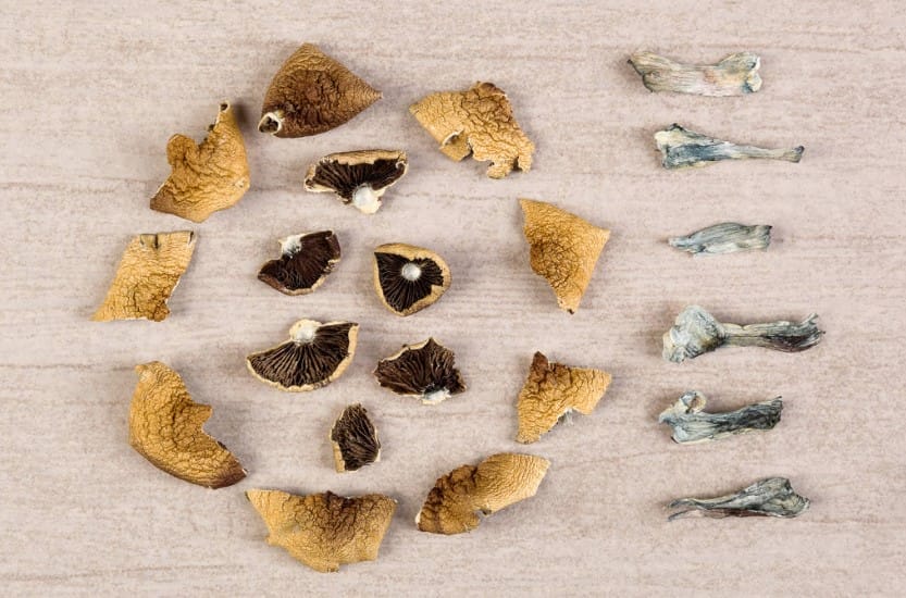 The Surprising Link Between Psychedelics and Enhanced Sex Magic mushroom Canada