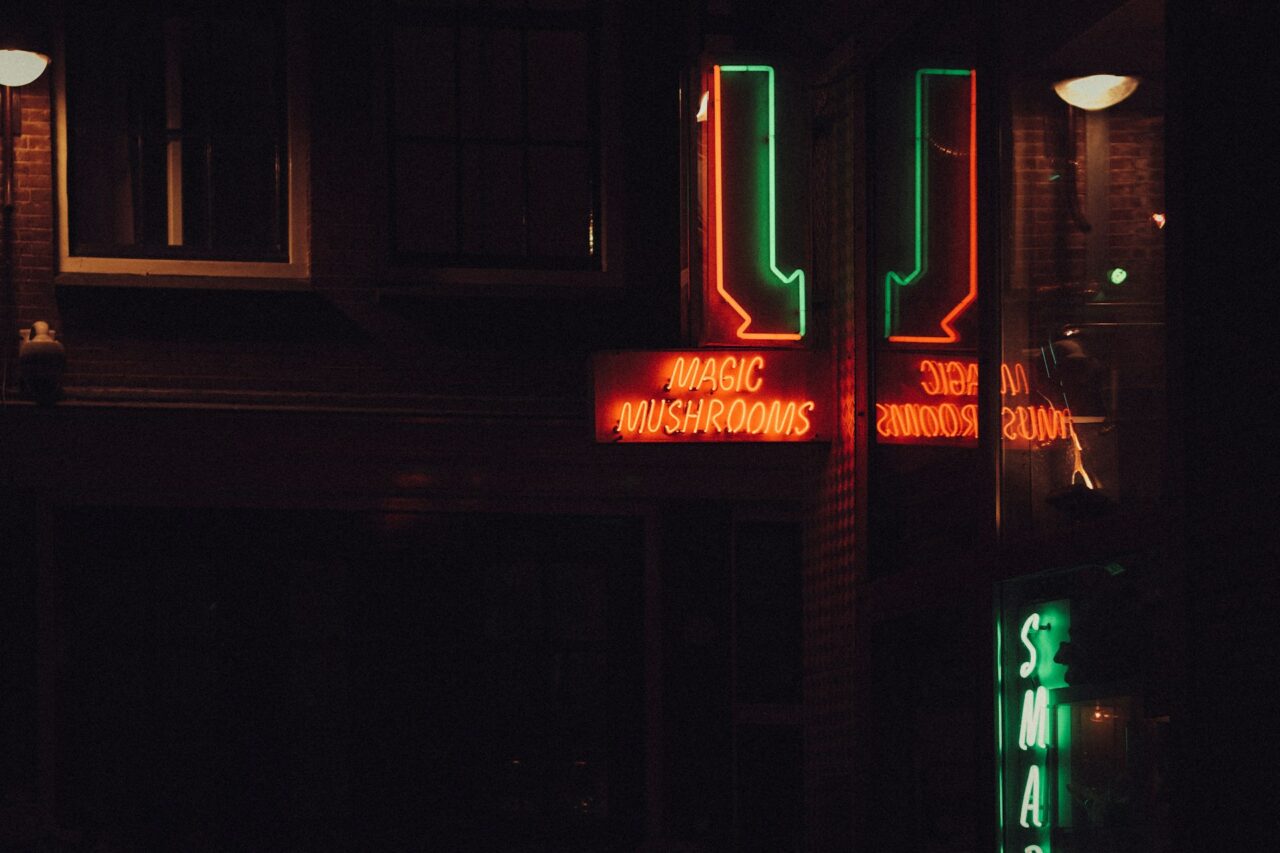 Vancouver’s Mushroom Dispensary – How is Canada Closing the Gap on the US’s Mushroom Surge?